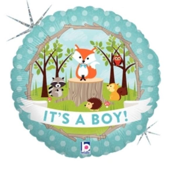 oodland Baby Boy REDONDO HO 18″ BET